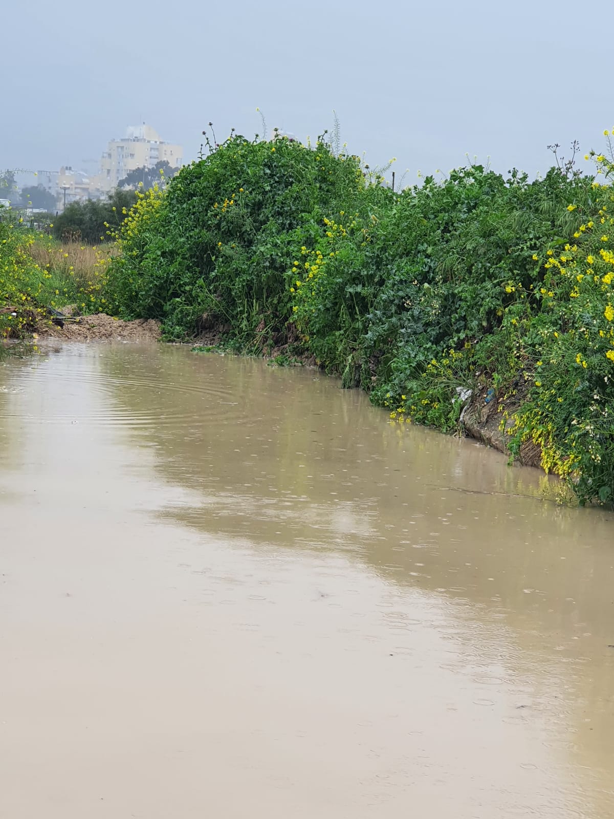 WhatsApp Image 2022-03-24 at 11.21.36 AM.jpeg